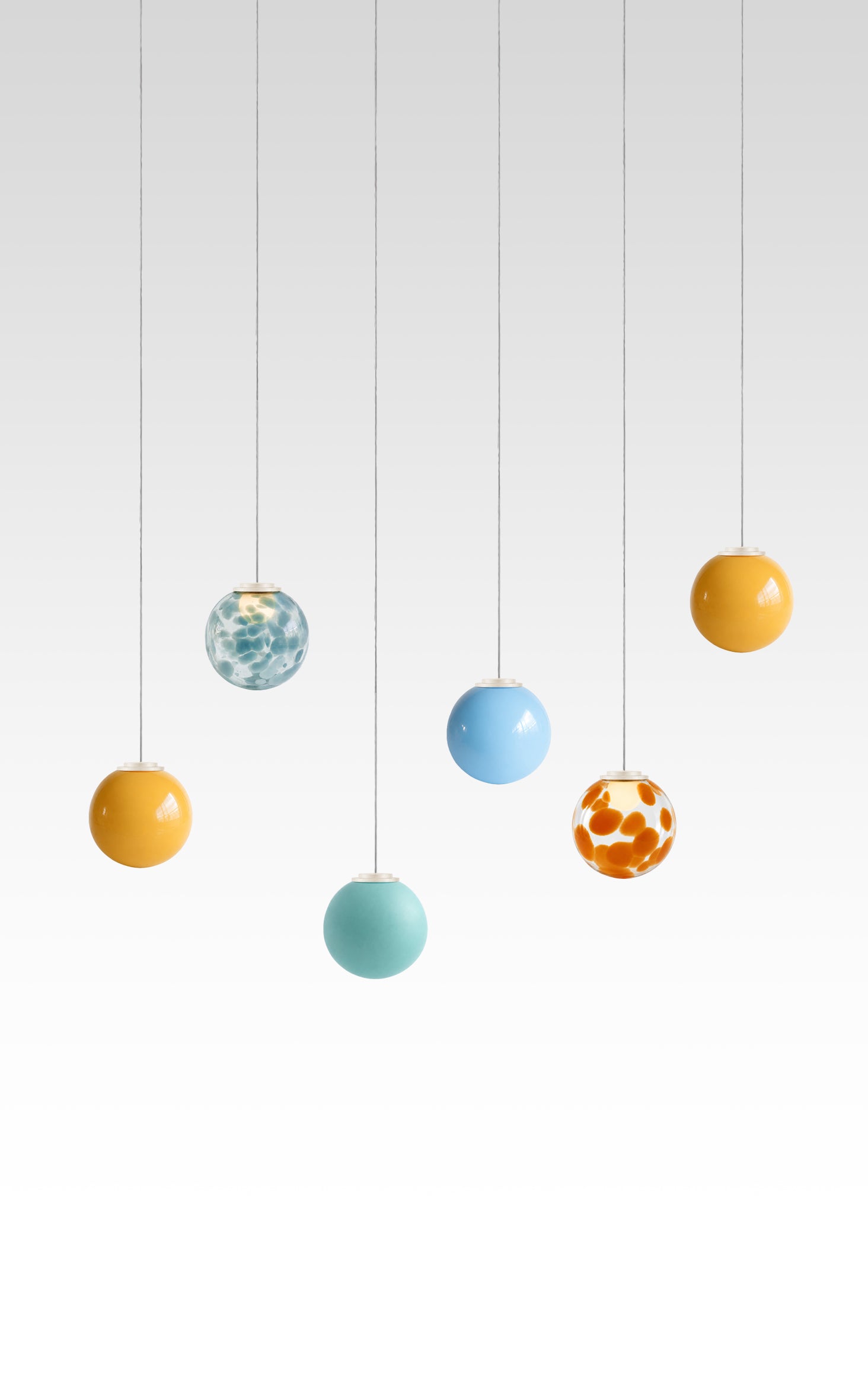 Parrot Fish Suspension - Set of 6