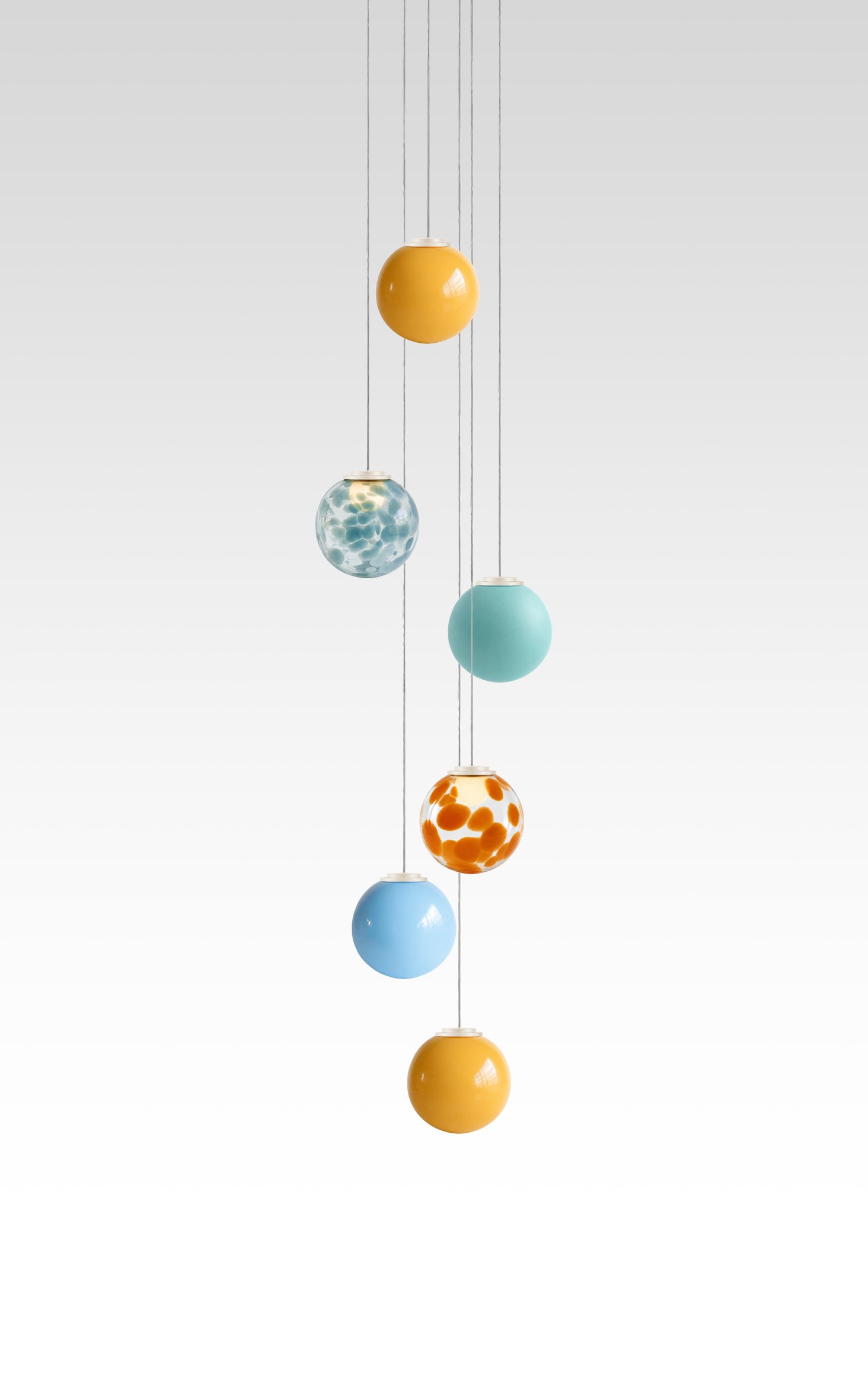 Parrot Fish Suspension - Set of 6